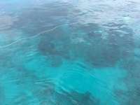 Great day of scuba diving in Key Largo with Rainbow Reef on north dry rocks tropical odyssey 2016 07 22 r3087 3