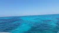 Great day of scuba diving in Key Largo with Rainbow Reef on north star tropical adventure 2016 07 06 r3024 1