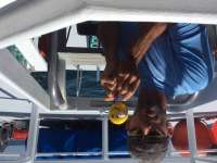 Great day of scuba diving in Key Largo with Rainbow Reef on permit ledges tropical adventure 2016 07 09 r3039 1