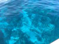 Great day of scuba diving in Key Largo with Rainbow Reef on permit ledges tropical odyssey 2016 07 30 r3119 1