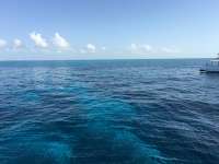Great day of scuba diving in Key Largo with Rainbow Reef on permit ledges tropical odyssey 2016 07 30 r3119 3