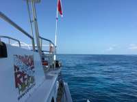 Great day of scuba diving in Key Largo with Rainbow Reef on permit ledges tropical odyssey 2016 07 30 r3119 4