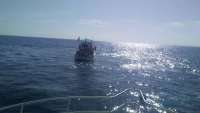 Great day of scuba diving in Key Largo with Rainbow Reef on uscgc duane tropical odyssey 2016 07 08 r3032 1