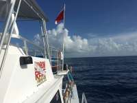 Great day of scuba diving in Key Largo with Rainbow Reef on uscgc duane tropical odyssey 2016 07 13 r3059 3