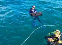 Great day of scuba diving in Key Largo with Rainbow Reef on banana patch tropical voyager 2016 06 04 r2878 1