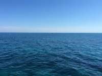 Great day of scuba diving in Key Largo with Rainbow Reef on city of washington tropical legend 2016 06 14 r2923 1