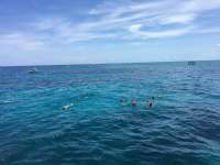 Great day of scuba diving in Key Largo with Rainbow Reef on city of washington tropical legend 2016 06 28 r2993 1