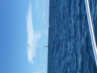 Great day of scuba diving in Key Largo with Rainbow Reef on conch wall tropical explorer 2016 06 01 r2868 1