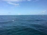 Great day of scuba diving in Key Largo with Rainbow Reef on eagle ray alley tropical legend 2016 06 28 r2991 1