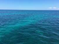 Great day of scuba diving in Key Largo with Rainbow Reef on elbow reef tropical odyssey 2016 06 14 r2921 1