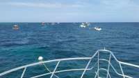 Great day of scuba diving in Key Largo with Rainbow Reef on fire coral cave tropical adventure 2016 06 19 r2953 1