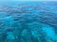 Great day of scuba diving in Key Largo with Rainbow Reef on fire coral cave tropical adventure 2016 06 26 r2985 1