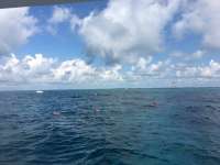 Great day of scuba diving in Key Largo with Rainbow Reef on molasses reef tropical adventure 2016 06 15 r2925 1
