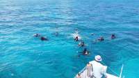 Great day of scuba diving in Key Largo with Rainbow Reef on sand island tropical voyager 2016 06 15 r2927 1