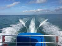 Great day of scuba diving in Key Largo with Rainbow Reef on spiegel grove tropical odyssey 2016 06 11 r2898 2