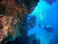 Great day of scuba diving in Key Largo with Rainbow Reef on spiegel grove tropical odyssey 2016 06 16 r2930 1