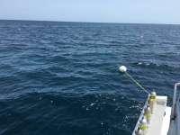 Great day of scuba diving in Key Largo with Rainbow Reef on spiegel grove tropical voyager 2016 06 18 r2946 1