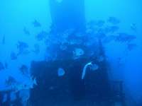 Great day of scuba diving in Key Largo with Rainbow Reef on uscgc duane tropical odyssey 2016 06 17 r2935 1