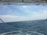 Great day of scuba diving in Key Largo with Rainbow Reef on benwood wreck tropical legend 2016 03 19 r2618 1