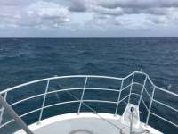 Great day of scuba diving in Key Largo with Rainbow Reef on benwood wreck tropical odyssey 2016 03 07 r2582 1