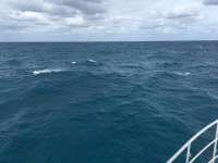 Great day of scuba diving in Key Largo with Rainbow Reef on benwood wreck tropical odyssey 2016 03 07 r2582 2