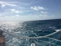 Great day of scuba diving in Key Largo with Rainbow Reef on molasses reef tropical legend 2016 03 31 r2671 1