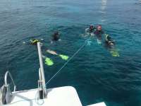 Great day of scuba diving in Key Largo with Rainbow Reef on permit ledges tropical legend 2016 03 29 r2663 1