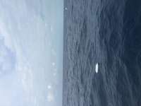 Great day of scuba diving in Key Largo with Rainbow Reef on spiegel grove tropical explorer 2016 03 18 r2611 1