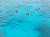 Great day of scuba diving in Key Largo with Rainbow Reef on winch hole tropical adventure 2016 03 13 r2586 1