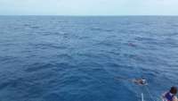 Great day of scuba diving in Key Largo with Rainbow Reef on woodys tropical legend 2016 03 20 r2622 1