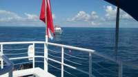 Great day of scuba diving in Key Largo with Rainbow Reef on benwood wreck tropical adventure 2016 05 30 r2858 1