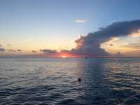 Great day of scuba diving in Key Largo with Rainbow Reef on benwood wreck tropical legend 2016 05 28 r2848 1