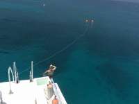 Great day of scuba diving in Key Largo with Rainbow Reef on christmastree cave tropical legend 2016 05 18 r2807 1