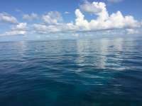 Great day of scuba diving in Key Largo with Rainbow Reef on eagle ray alley tropical legend 2016 05 31 r2863 1