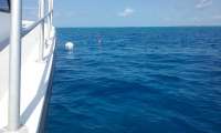Great day of scuba diving in Key Largo with Rainbow Reef on french deep tropical odyssey 2016 05 22 r2818 1