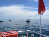 Great day of scuba diving in Key Largo with Rainbow Reef on molasses reef tropical legend 2016 05 28 r2844 1