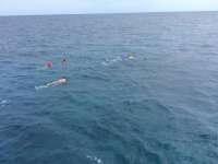 Great day of scuba diving in Key Largo with Rainbow Reef on molasses reef tropical odyssey 2016 05 12 r2782 1