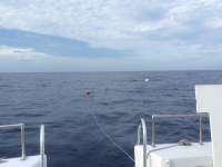 Great day of scuba diving in Key Largo with Rainbow Reef on rebreather duane tropical explorer 2016 05 23 r2828 1