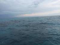 Great day of scuba diving in Key Largo with Rainbow Reef on sand island tropical voyager 2016 05 19 r2808 1