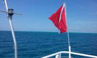 Great day of scuba diving in Key Largo with Rainbow Reef on spiegel grove tropical adventure 2016 05 15 r2795 1