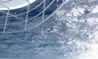 Great day of scuba diving in Key Largo with Rainbow Reef on uscgc duane tropical odyssey 2016 05 09 r2774 1