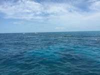 Great day of scuba diving in Key Largo with Rainbow Reef on uscgc duane tropical voyager 2016 05 11 r2777 1