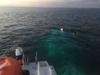 Great day of scuba diving in Key Largo with Rainbow Reef on benwood wreck tropical odyssey 2016 11 10 r3483 1