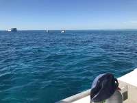Great day of scuba diving in Key Largo with Rainbow Reef on fire coral cave tropical legend 2016 11 12 r3490 2