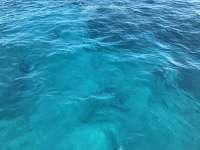 Great day of scuba diving in Key Largo with Rainbow Reef on fire coral cave tropical legend 2016 11 12 r3490 3