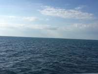 Great day of scuba diving in Key Largo with Rainbow Reef on fire coral cave tropical legend 2016 11 19 r3526 1