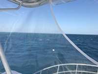 Great day of scuba diving in Key Largo with Rainbow Reef on french reef tropical legend 2016 11 20 r3528 1