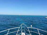 Great day of scuba diving in Key Largo with Rainbow Reef on molasses reef tropical adventure 2016 11 05 r3465 1