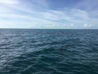 Great day of scuba diving in Key Largo with Rainbow Reef on molasses reef tropical legend 2016 11 27 r3560 1