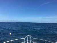Great day of scuba diving in Key Largo with Rainbow Reef on molasses reef tropical odyssey 2016 11 09 r3478 1